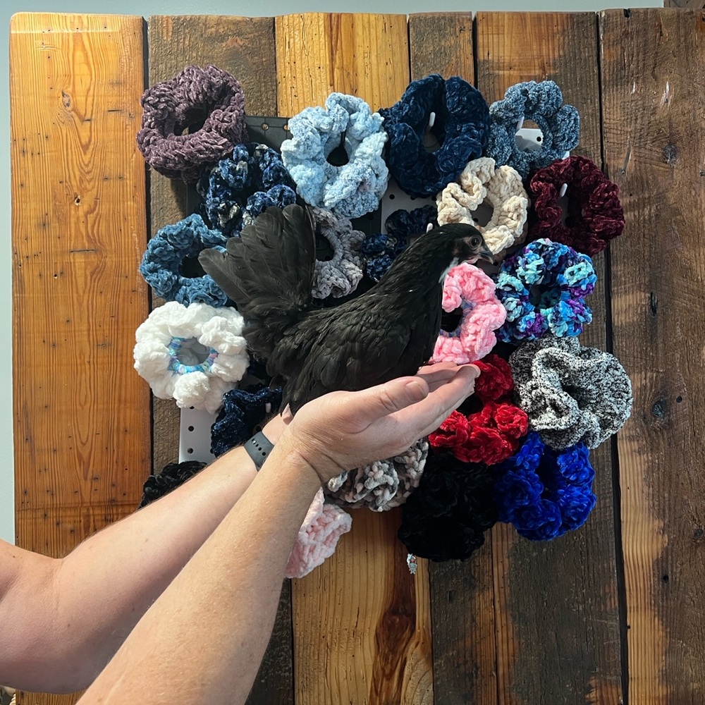 Scrunchies of the Day 5 for $20 you choose - Picture 2 of 7